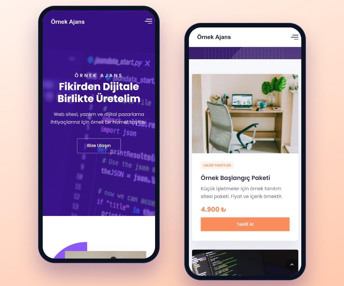 Kurumsal Ajans Web Sitesi Scripti